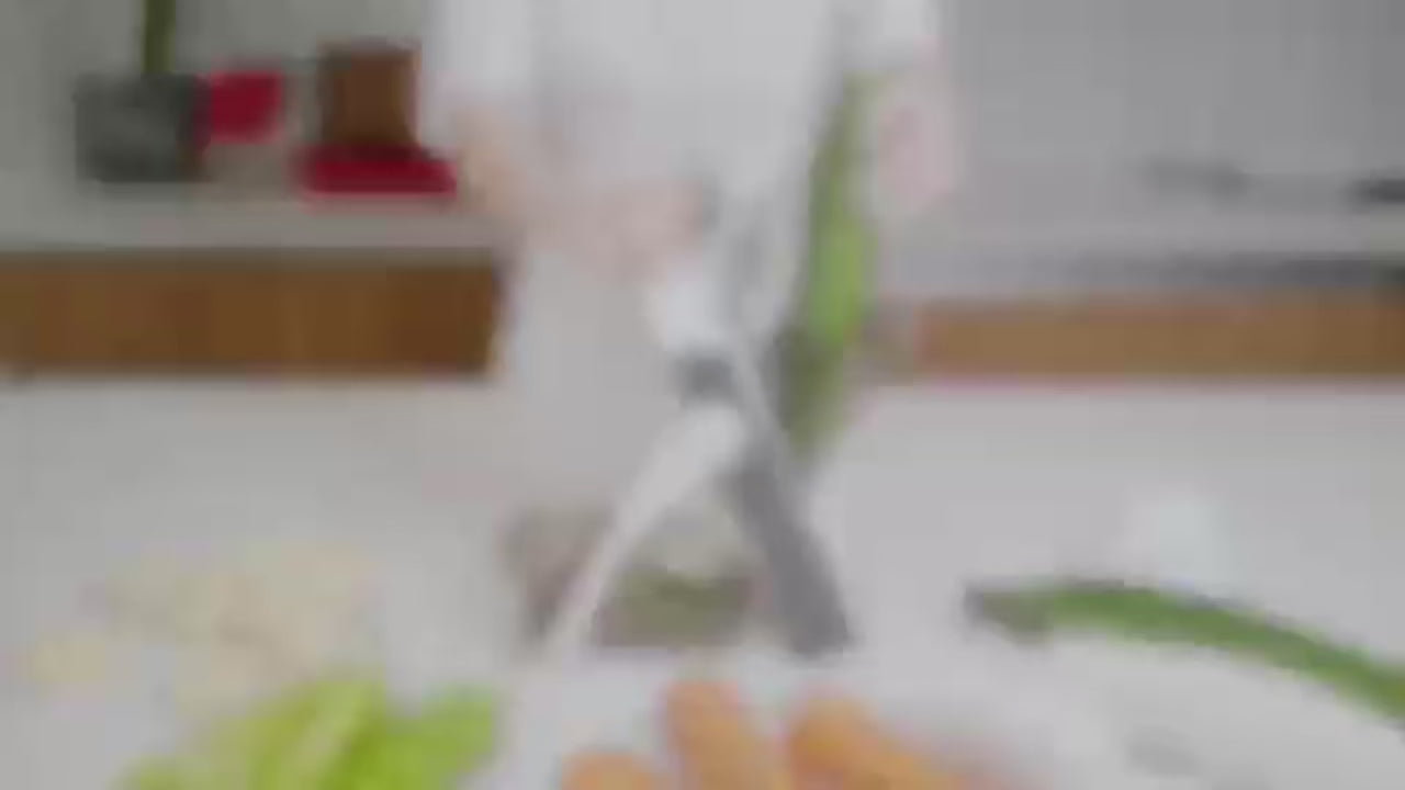 قطاعة خضار وفواكه (شرائح)